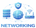Networking 