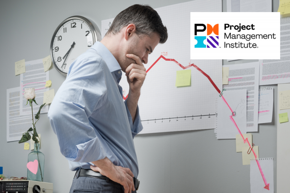 PMI certifikace (PMP/CAPM)