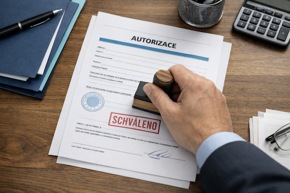 Náhledový obrázek novinky