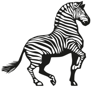 Zebra Systems
