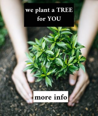 We plant a TREE for YOU
