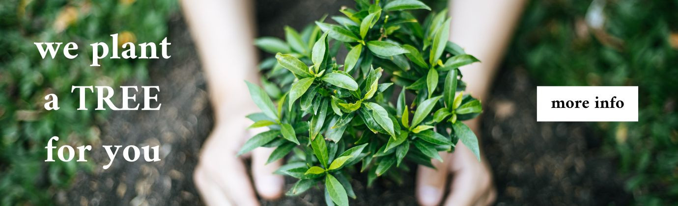 We plant a TREE for YOU